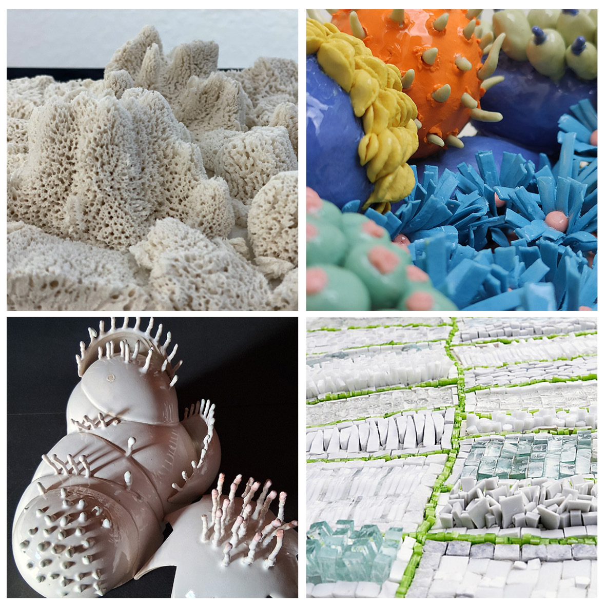 kadima: Wachsen x vier