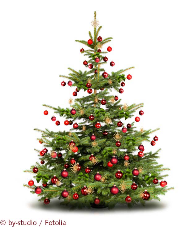 Weihnachtsbaum_c_by-studio_Fotolia