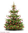 Weihnachtsbaum_c_by-studio_Fotolia