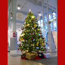 Sternenfunkeln in der Stadtbibliothek