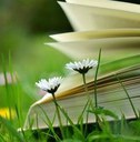 Bücher lesen in Einfacher Sprache 