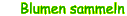 menue_43_1.gif