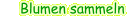 menue_43_2.gif
