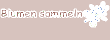 titel4_3.gif