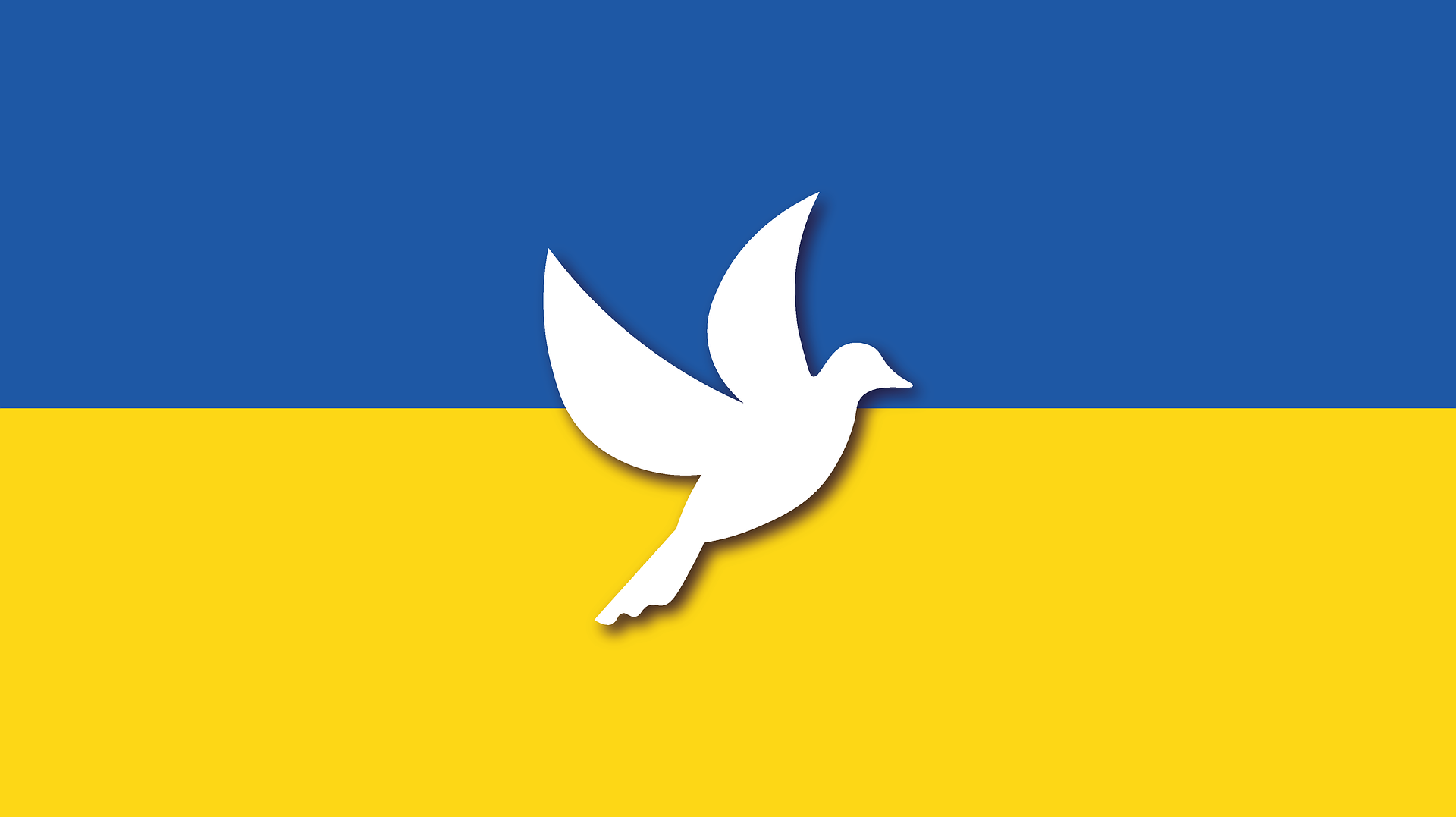 Ukraine_Flagge.png