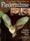 Fledermaeuse.jpg