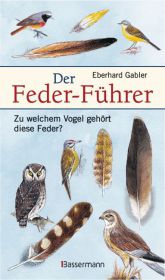 Feder.jpg