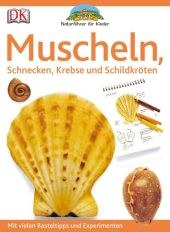 Muscheln.jpg